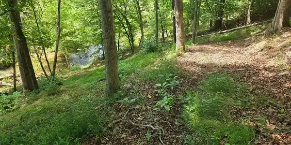 Image 4: Path to creek
