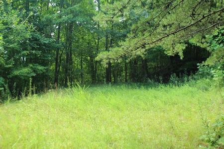 Lot 55 Eagles View