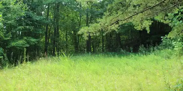 Lot 55 Eagles View