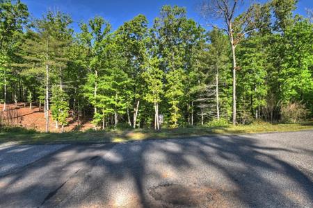 Lot 41 Ridge Drive