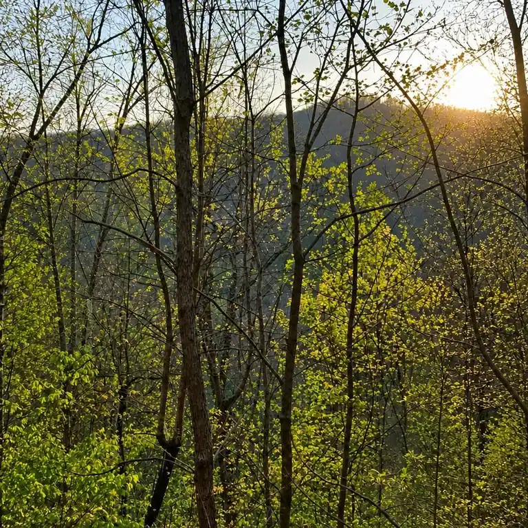 Image 1: Main View