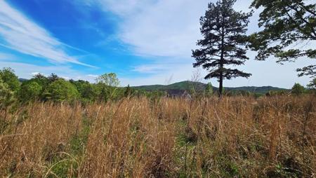 Lot 48 Water Oak Lane
