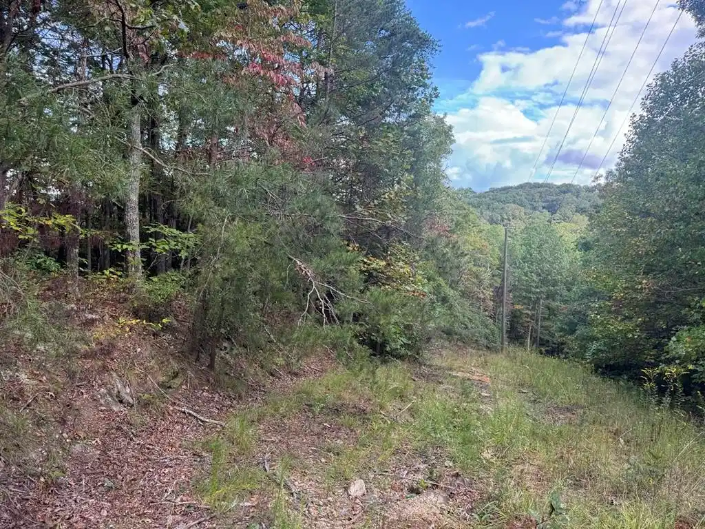 Image 1: Main View