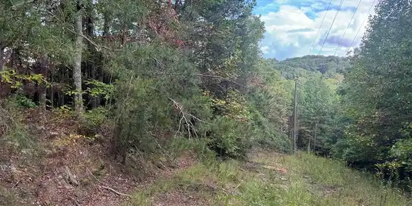 13.57 Ac Burnt Mountain Cove Road