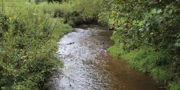 Lot 13 Creekside Acres