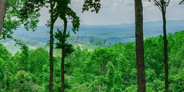 Lot 411 Calloway Mountain Road
