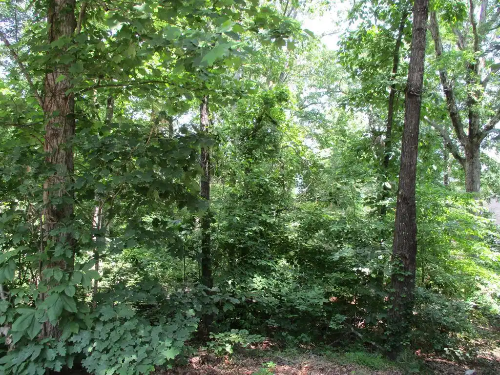 Image 1: Main View