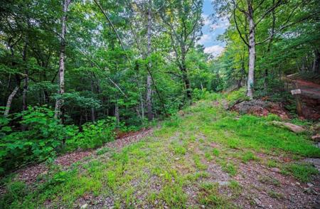Lt 760 Morton Drive