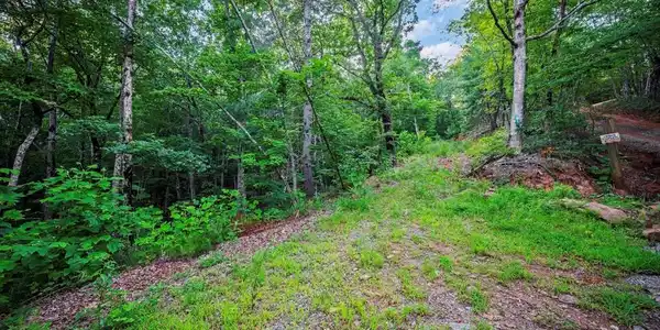 Lt 760 Morton Drive