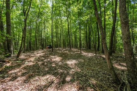20 Ac Pack Mountain Road