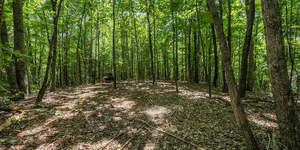 20 Ac Pack Mountain Road