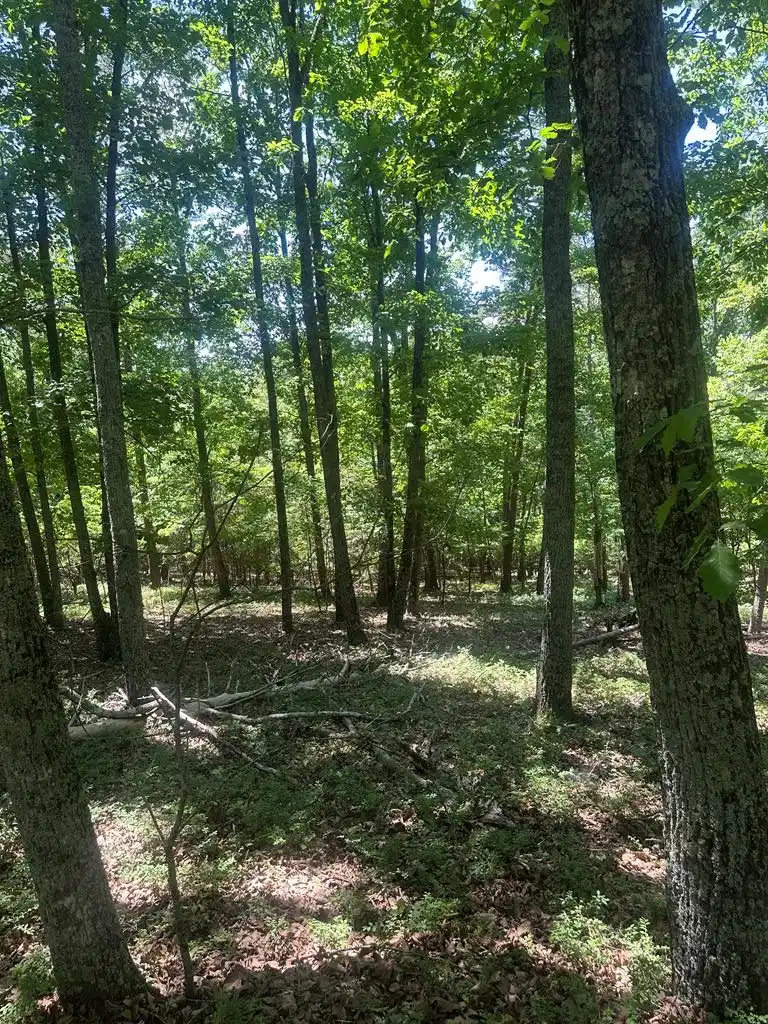 Image 1: Main View