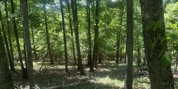 Owl Ridge Way