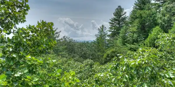 Image 3: Additional View