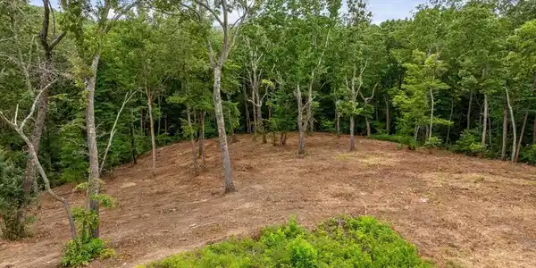 Lot 92 Timberline Trail