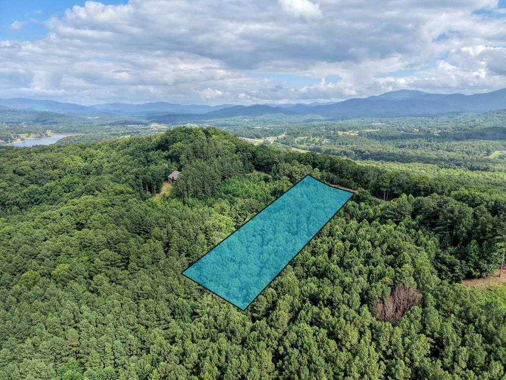 Image 1: Main View