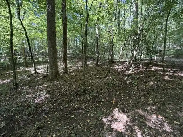 Image 1: Main View