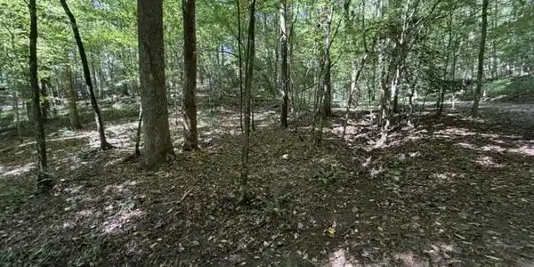 Tr. B&C Bear Hollow Way