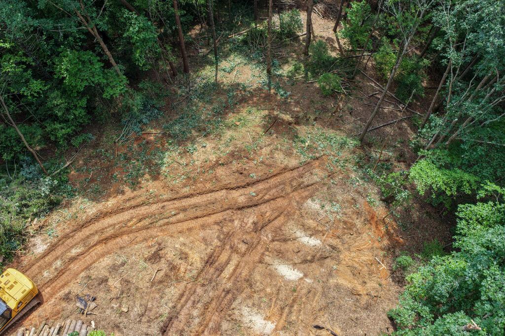 Image 2: Clearing lot 3