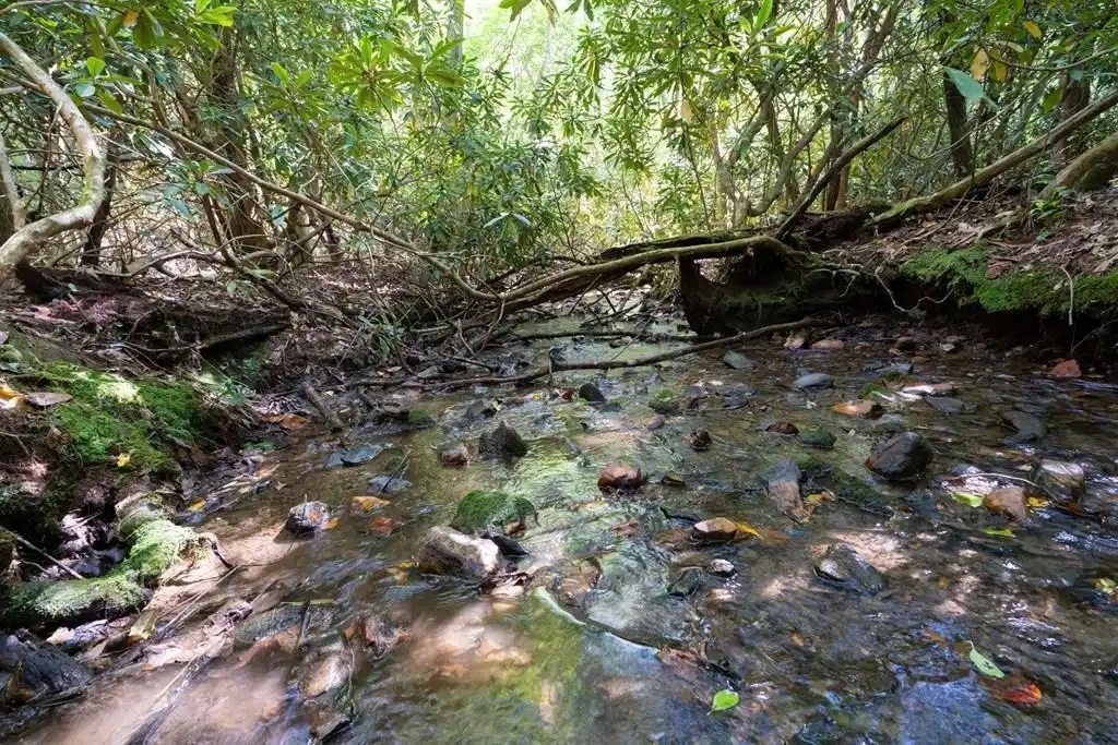 Image 1: Main View