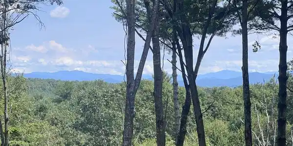 Lot 7 Austin Mountain Road