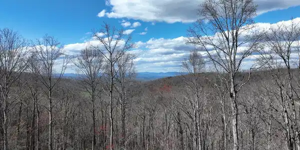270R Stone Cliff Drive