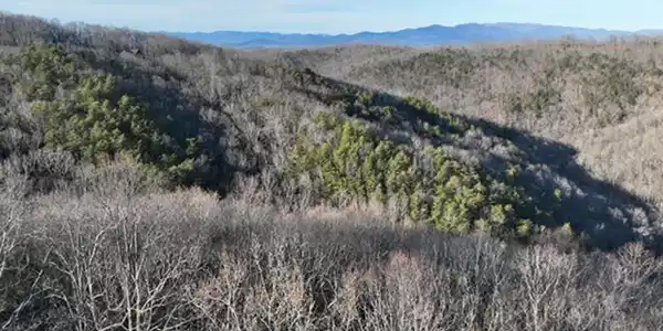 249 Andes Ridge