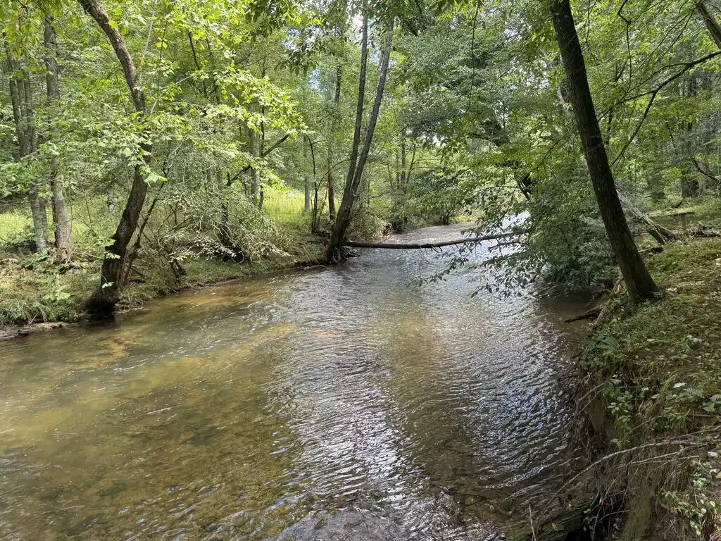 Image 1: Main View