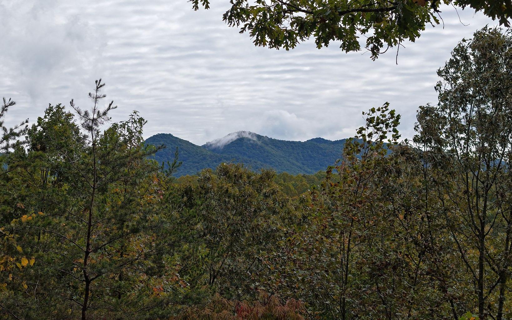 Image 2: Additional View