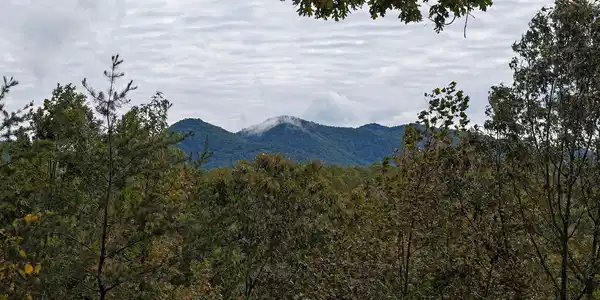 Image 2: Additional View