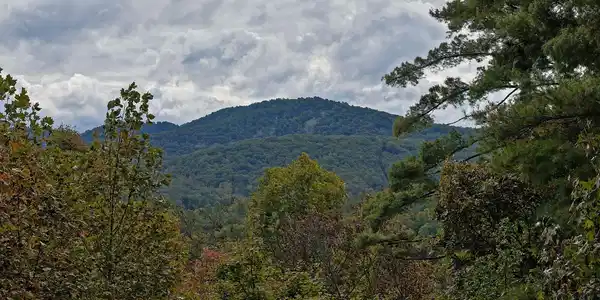Image 3: Additional View