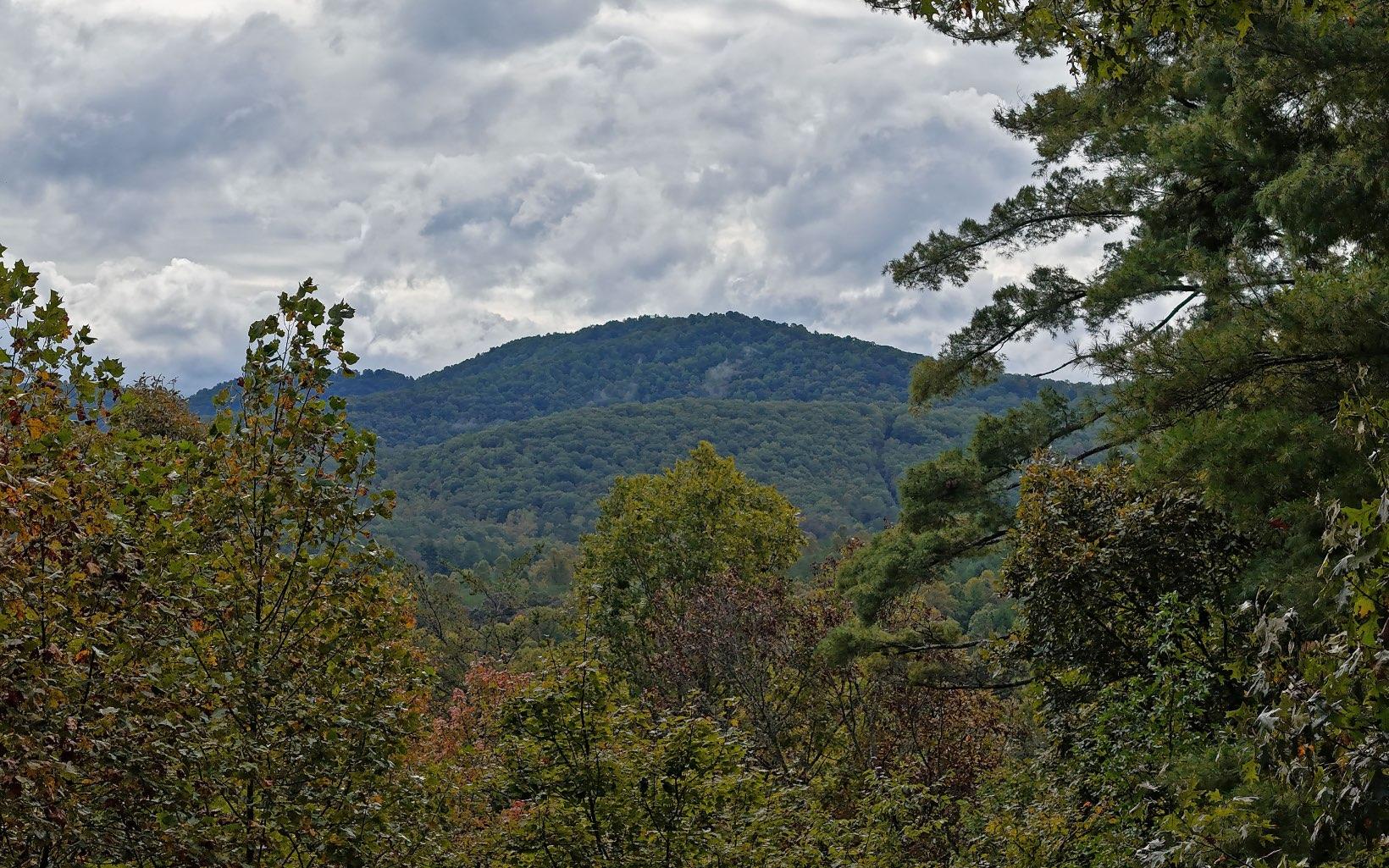 Image 3: Additional View