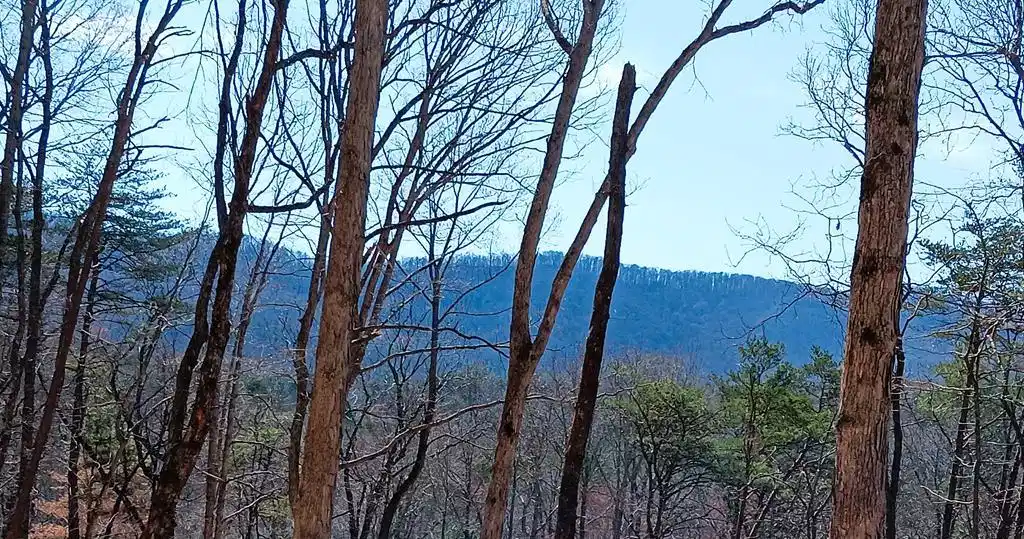 Image 1: Main View