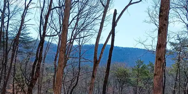Lot 1A Colbert Mountain Road
