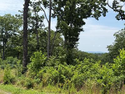 Lot 93 Timberline Trail
