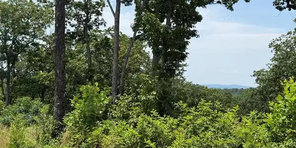 Lot 93 Timberline Trail