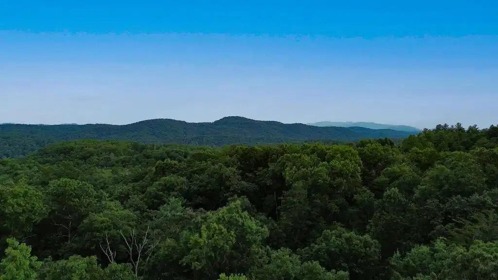 Image 1: Main View