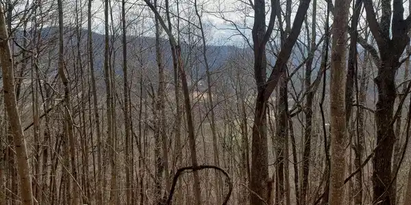 Image 2: Additional View