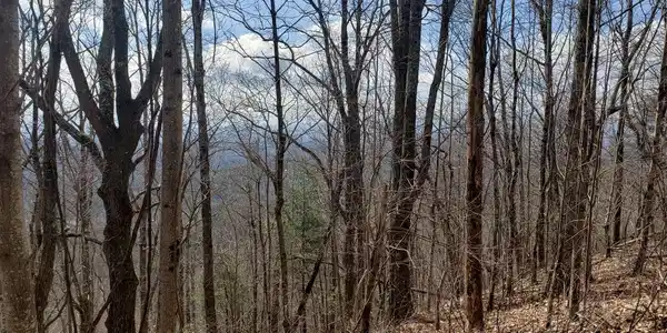 Image 3: Additional View