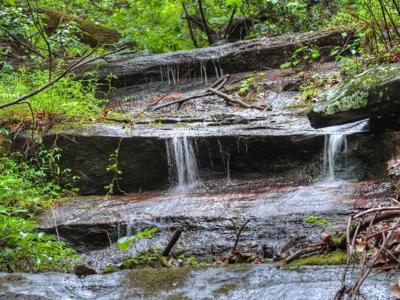 1138 Douglas Mountain Trail