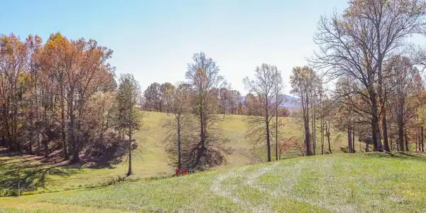 Image 2: Additional View