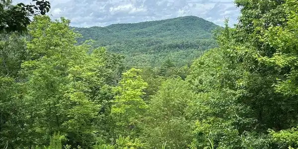 210 Autumn View Lane