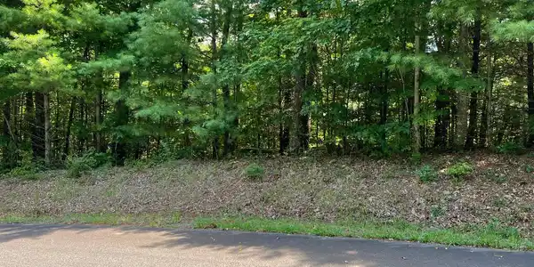 Lot 58 Fires Creek Cove Road