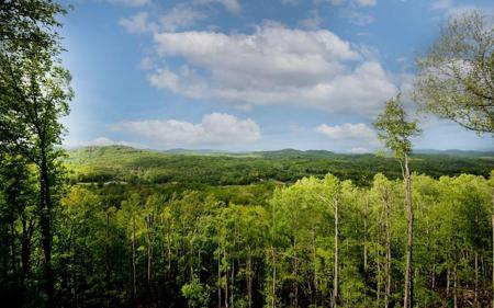 Lot 25 Scouts Overlook