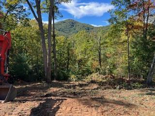 Lot 74 Mine Cart Trail
