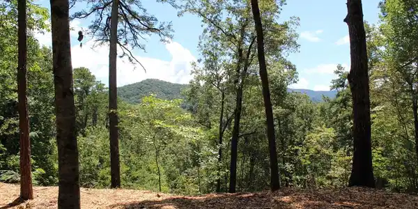 Lot 5J Eagle Fork Trail