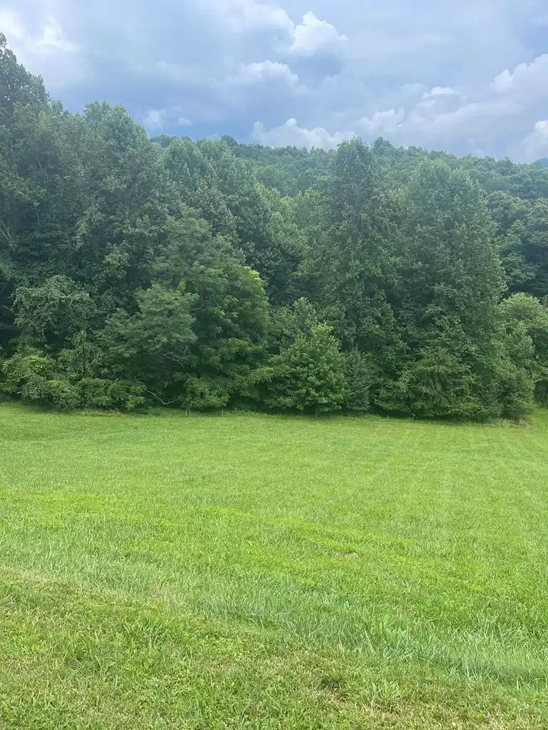 Image 1: Main View