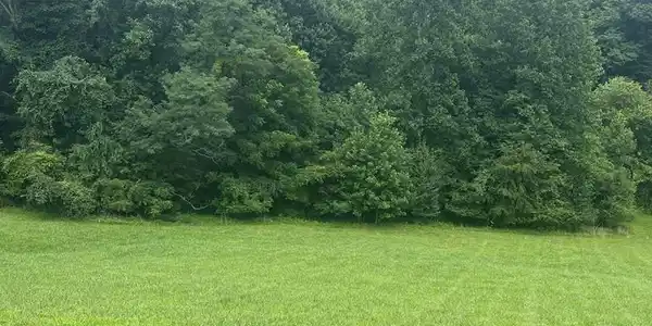 Lot 22C Ash Branch Circle