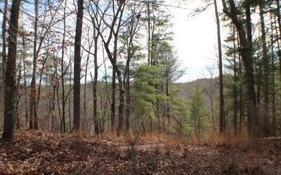 LT113 Tranquility @ Carters Lake
