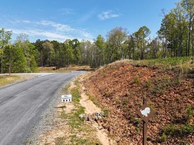 Lot 20 Blalock Mountain Road